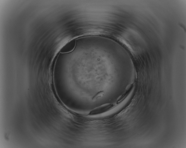 X0000093111467200709261241