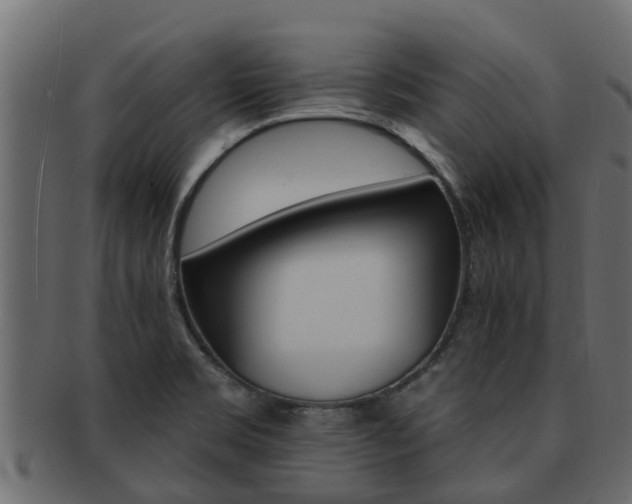 X0000093111469200709261241