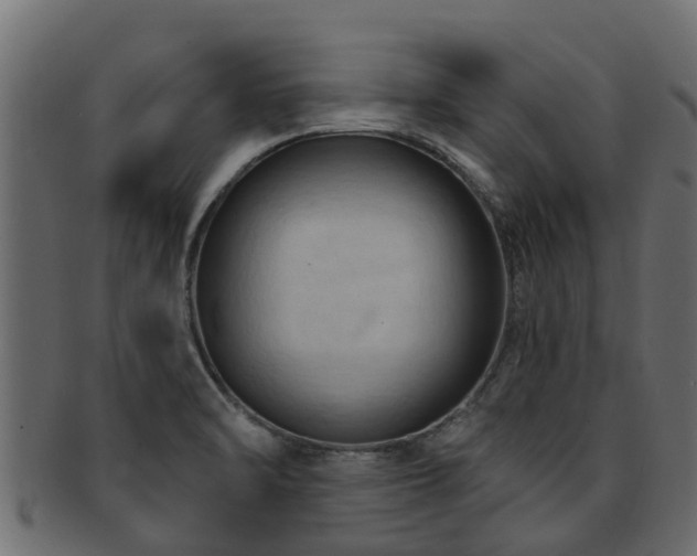 X0000093111470200709261241