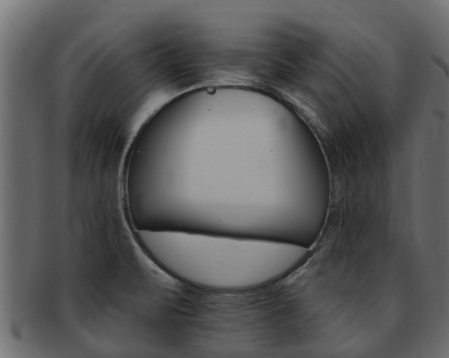 X0000093111471200709261241