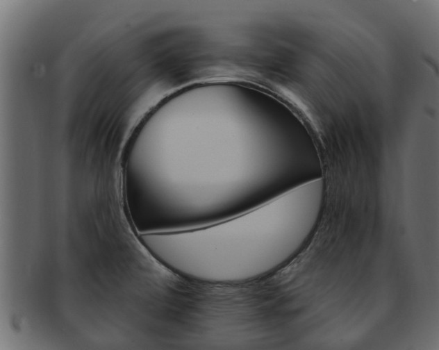X0000093111472200709261241
