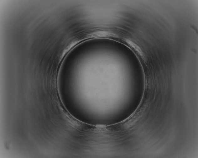 X0000093111473200709261241