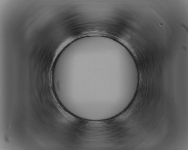 X0000093111474200709261241