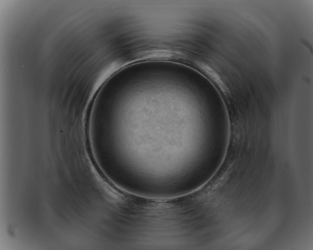 X0000093111475200709261241