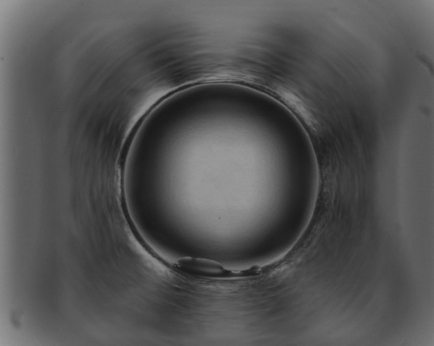 X0000093111476200709261241