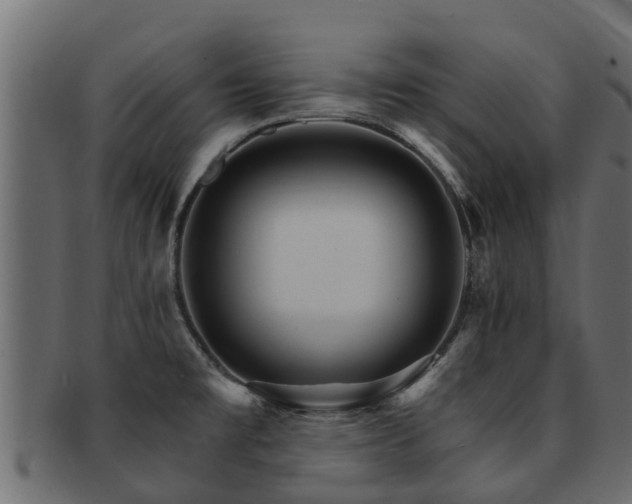 X0000093111477200709261241
