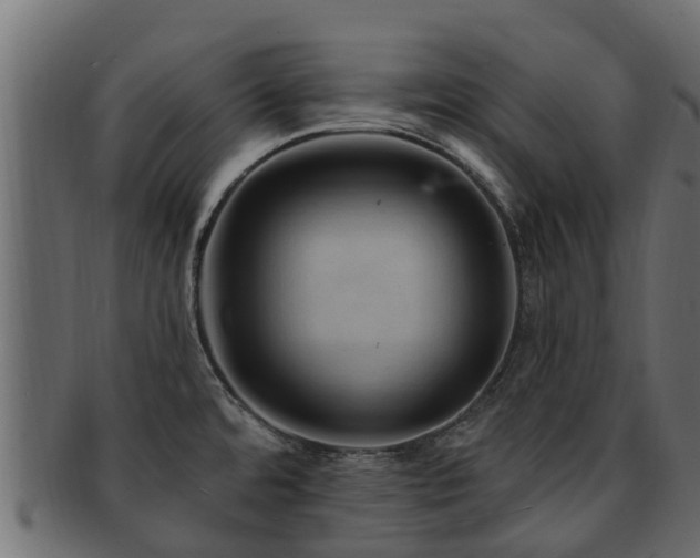 X0000093111480200709261241