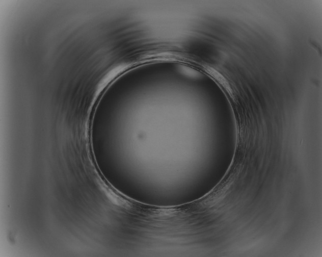 X0000093111482200709261241