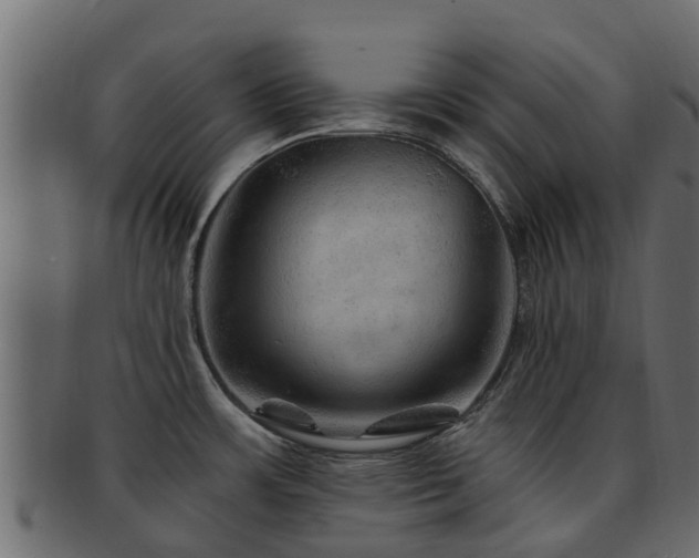X0000093111483200709261241