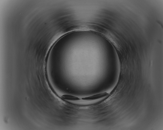 X0000093111484200709261241
