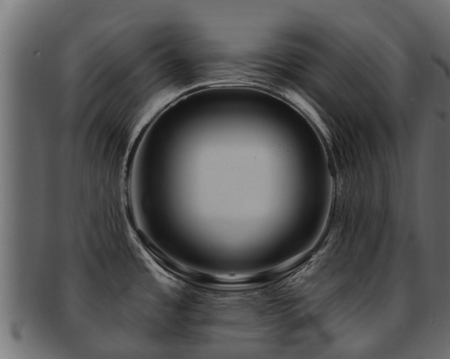 X0000093111485200709261241