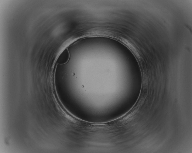 X0000093111486200709261241
