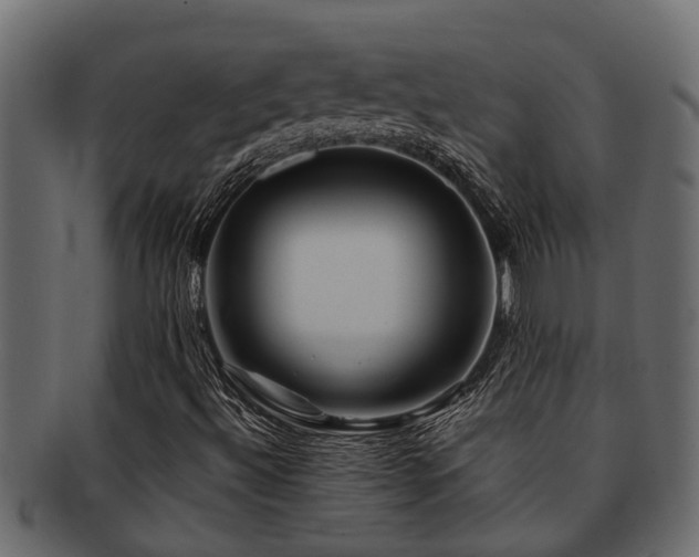 X0000093111492200709261240