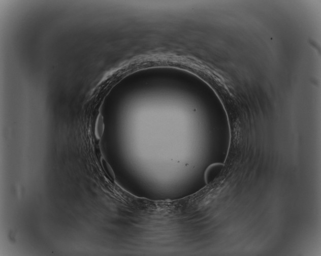 X0000093111494200709261240