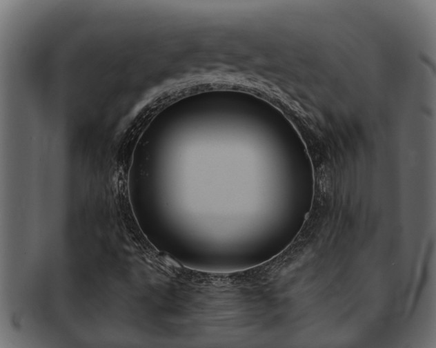 X0000093111495200709261240