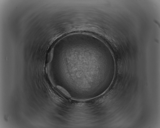 X0000093111497200709261240