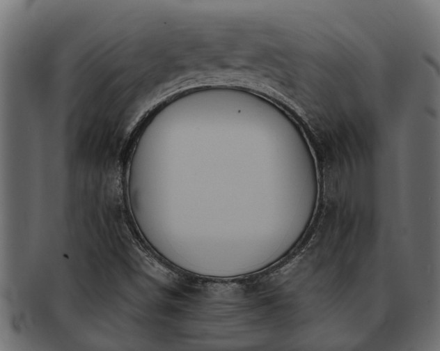 X0000093111498200709261240
