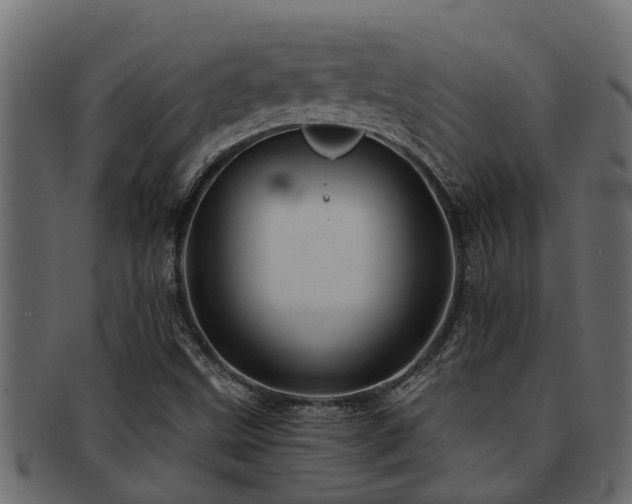 X0000093111499200709261240