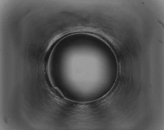 X0000093111501200709261240