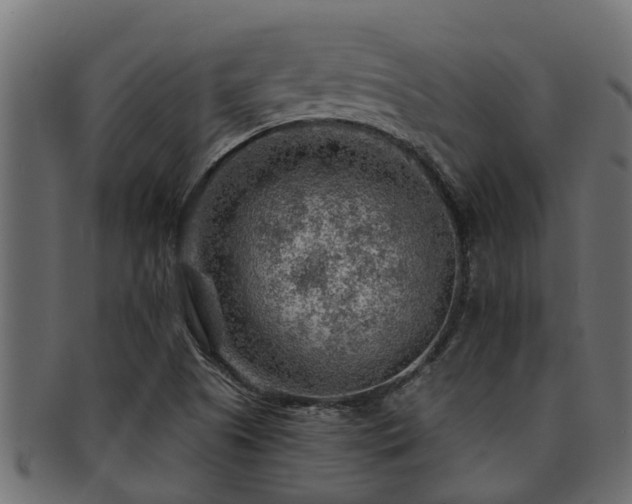 X0000093111505200709261240