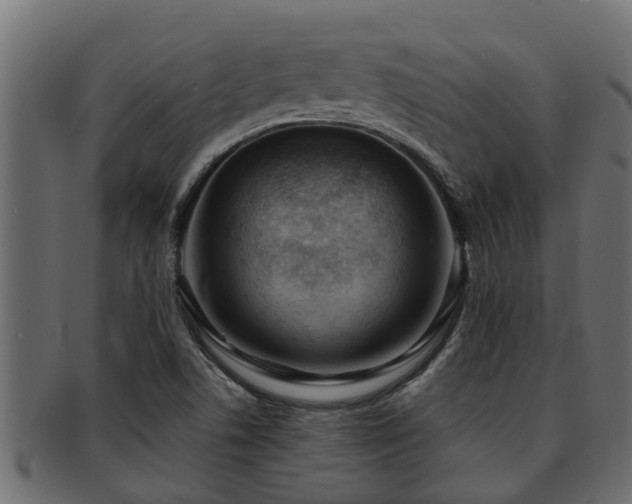 X0000093111506200709261240
