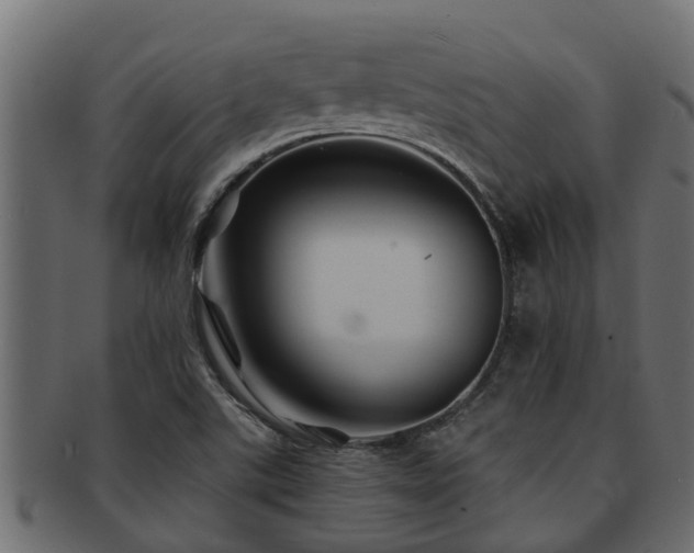 X0000093111507200709261240