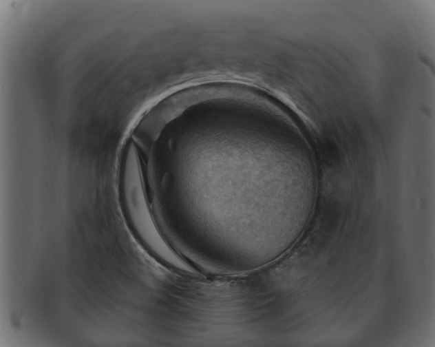 X0000093111508200709261240