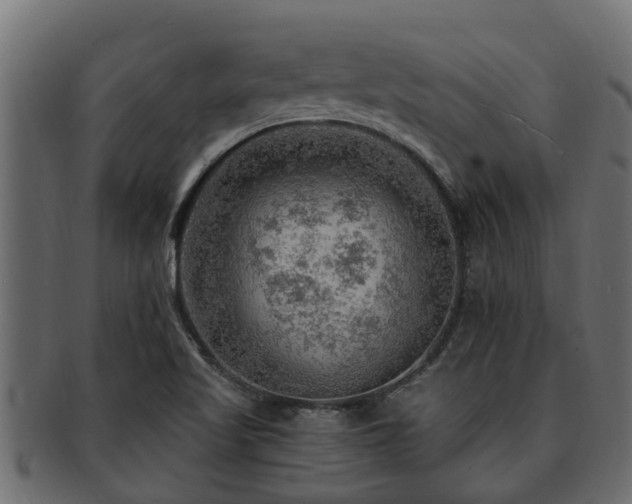 X0000093111509200709261240