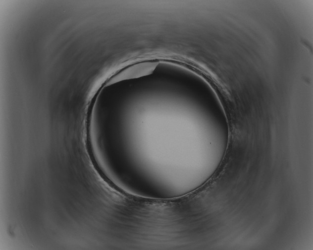 X0000093111512200709261240