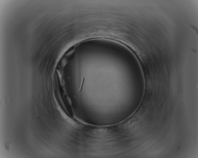X0000093111515200709261240