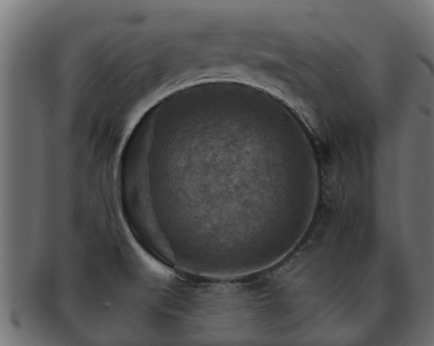 X0000093111519200709261240