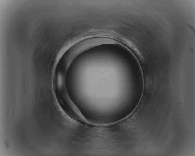 X0000093111520200709261240