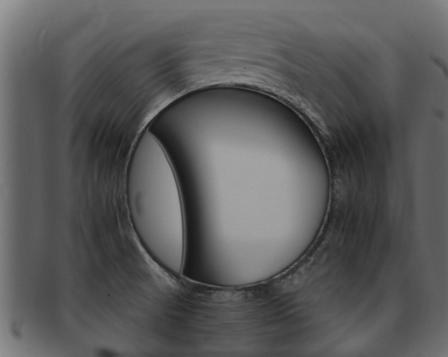 X0000093111521200709261240