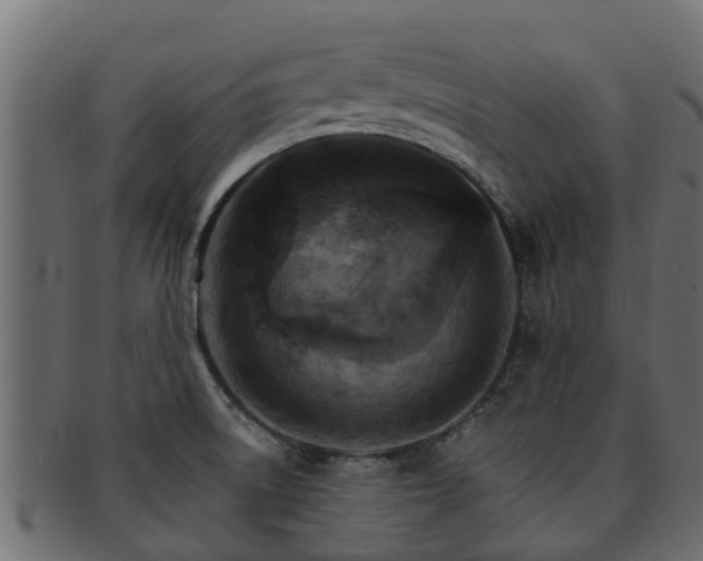 X0000093111522200709261240