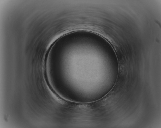 X0000093111523200709261240
