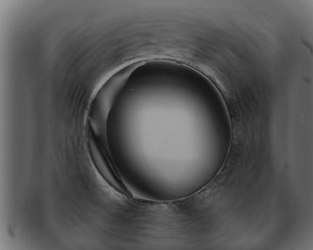 X0000093111524200709261240