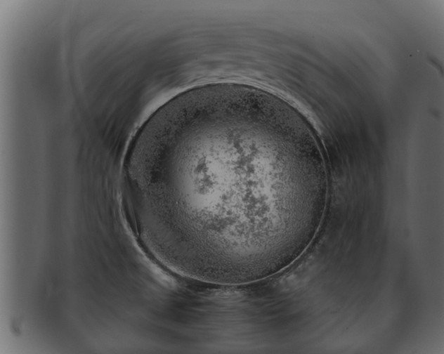 X0000093111525200709261240