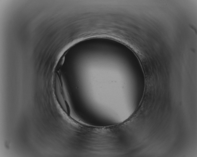 X0000093111526200709261240