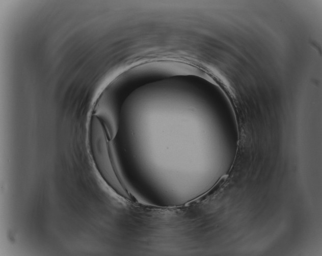 X0000093111528200709261240