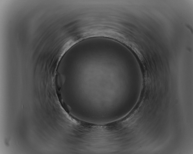 X0000093111529200709261240
