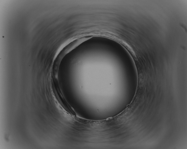 X0000093111530200709261240