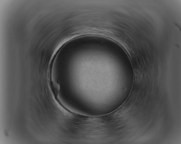 X0000093111531200709261240