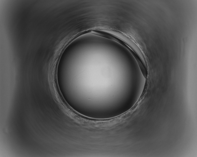 X0000093110001200710031324