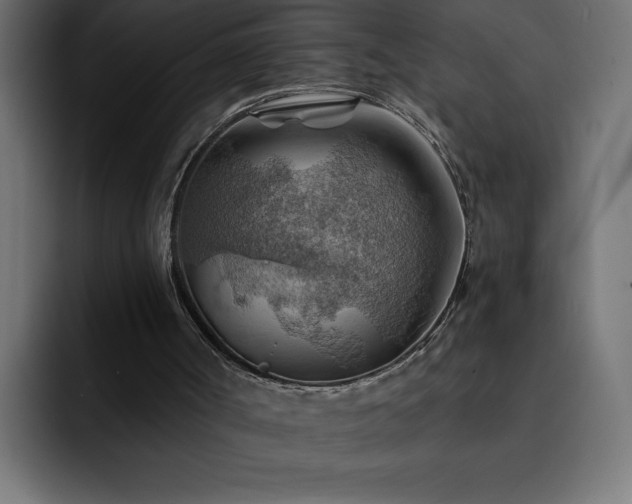 X0000093110002200710031324