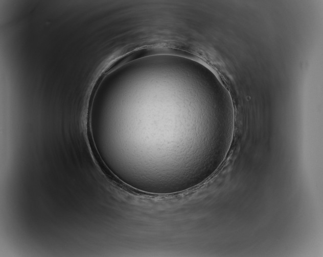 X0000093110003200710031324