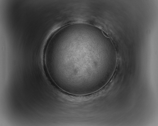 X0000093110006200710031324