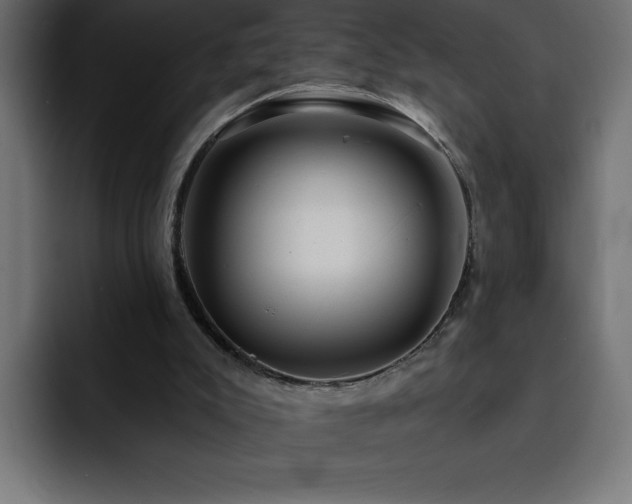 X0000093110007200710031324