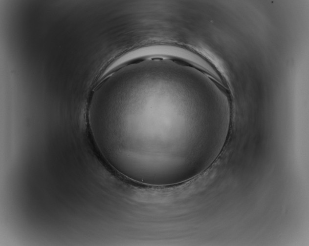 X0000093110009200710031324