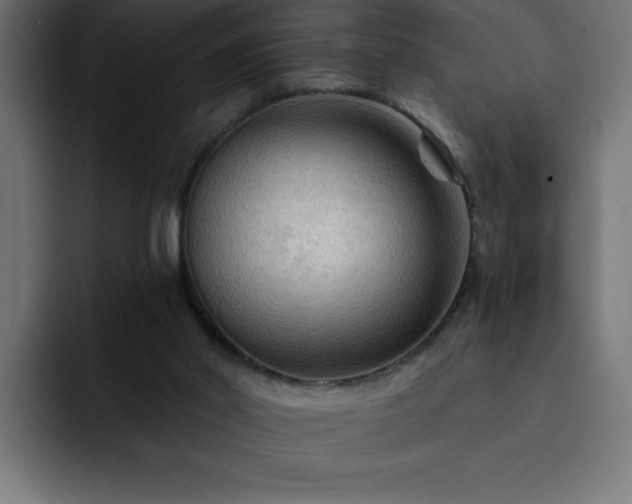 X0000093110014200710031324