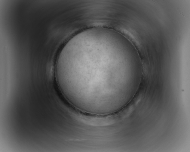 X0000093110016200710031324